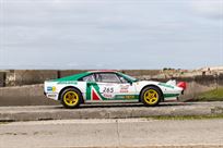 1980---ferrari-308-gr-4-r-fia