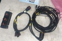 delta-expansion-box-loom