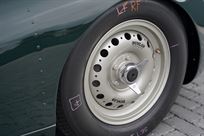 lister-knobbly