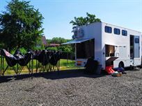 mercedes-benz-atego-823-camper-6-seats