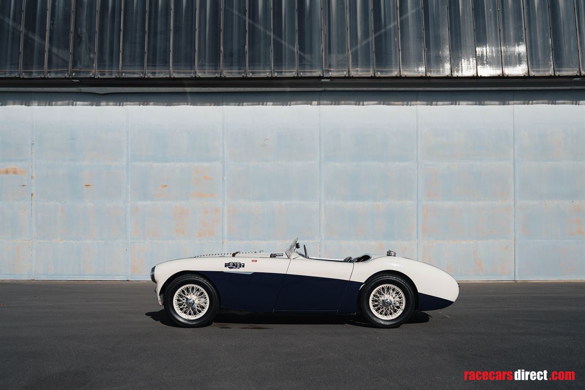 1955-austin-healey-100s