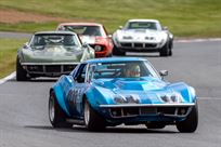 c2-c3-corvette-reproduction-body-parts