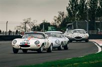 semi-lightweight-etype