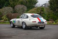 semi-lightweight-etype