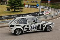 vw-golf-1-16-gr-2---fia-htp---zebra