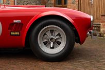 ac-cobra-289-fia-race-car