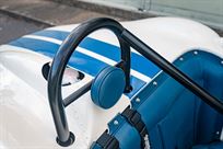 lister-knobbly-fia-car