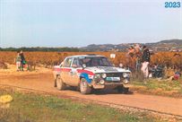 1978-datsun-violet-group-4-rally-car
