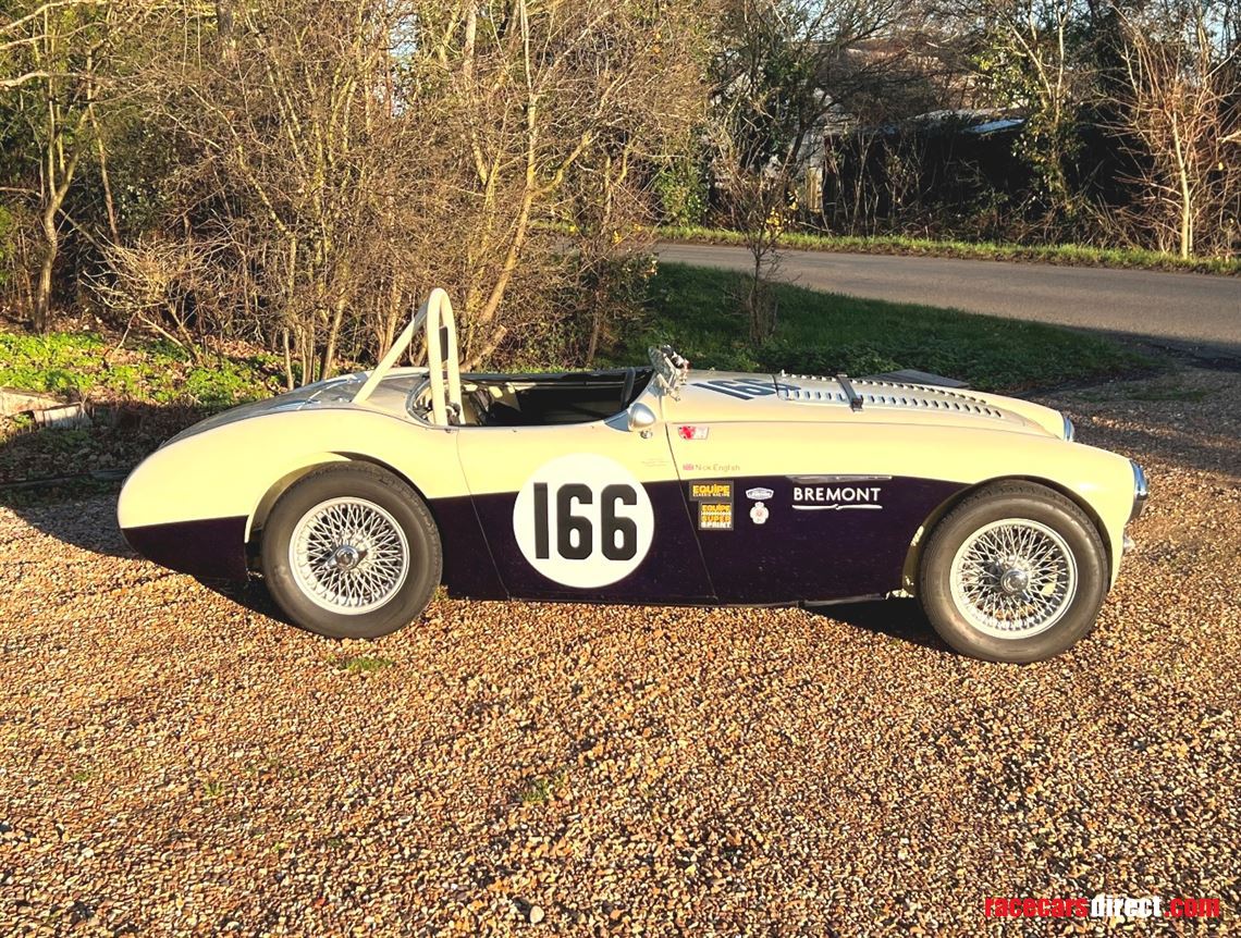 austin-healey-100-race-car