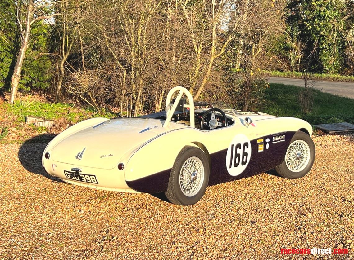 austin-healey-100-race-car