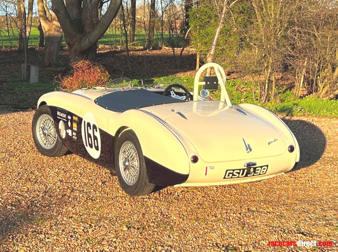 austin-healey-100-race-car