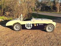 austin-healey-100-race-car