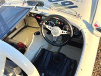 austin-healey-100-race-car