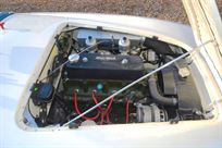 austin-healey-100-race-car