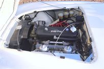 austin-healey-100-race-car