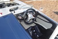 austin-healey-100-race-car