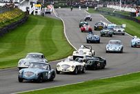 austin-healey-100-race-car