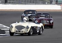 austin-healey-100-race-car