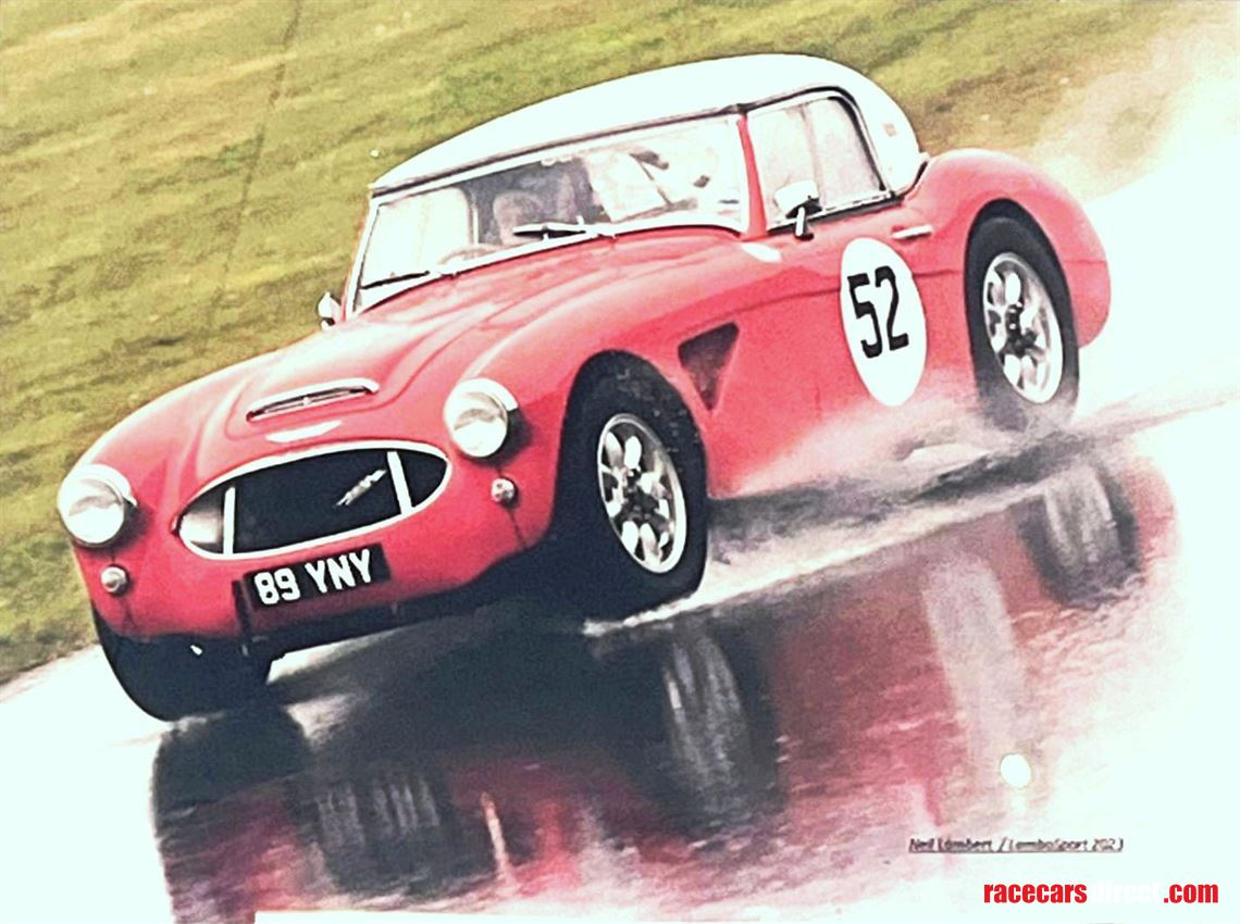 1959-austin-healey-3000-racerallysprinthillcl