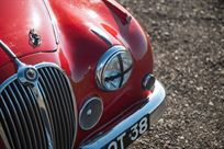 jaguar-mk-2-race-car---fia-htp