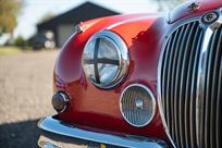 jaguar-mk-2-race-car---fia-htp