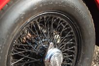 jaguar-mk-2-race-car---fia-htp