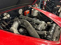 jaguar-mk-2-race-car---fia-htp