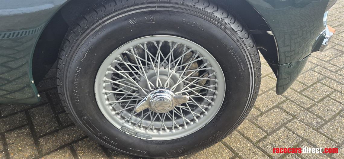 mgb-race-car-fia-papers