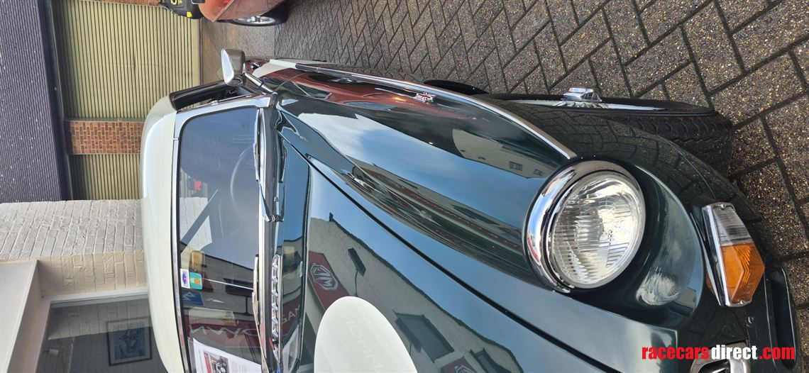 mgb-race-car-fia-papers