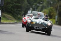 1955-aston-martin-db3s