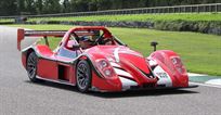 radical-sr08-rad