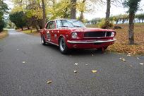 fia-ford-mustang-notchback