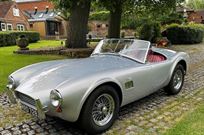 ac-cobra-289-by-hawk