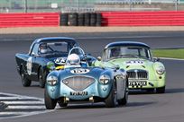 austin-healey-100