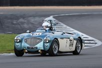 austin-healey-100