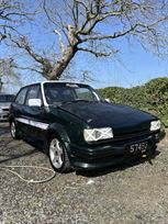 mk2-fiesta-hillsprint-car-potential-track-car