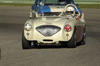 austin-healey-1004