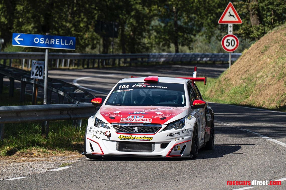 peugeot-308-racing-cup-16tb