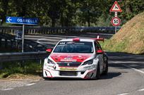 peugeot-308-racing-cup-16tb