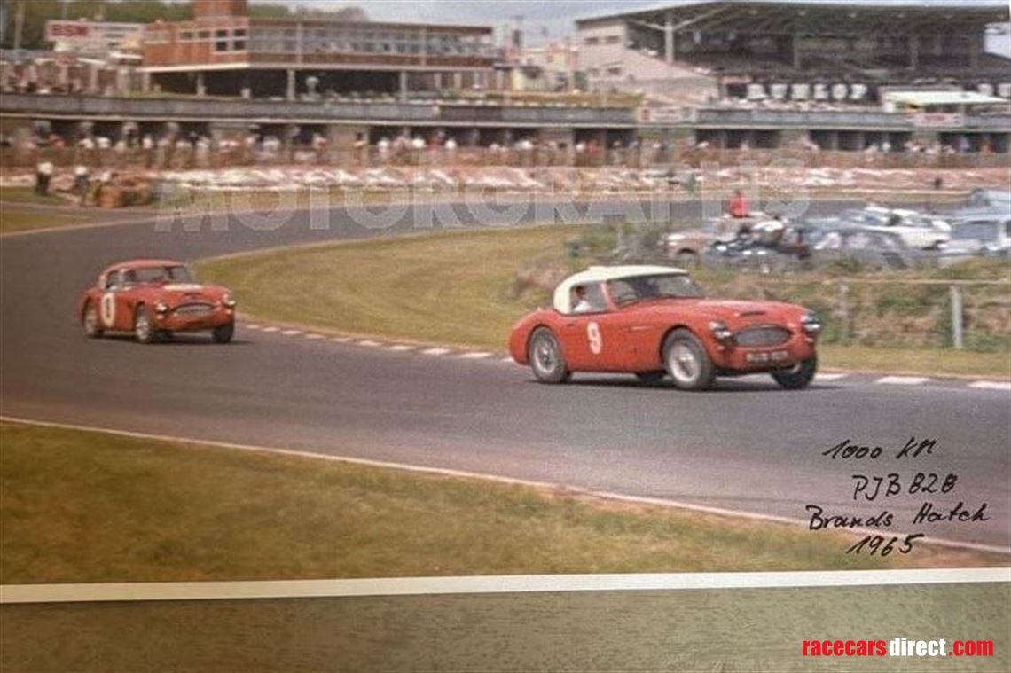 austin-healey-1006-ex-works-racecar