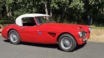 austin-healey-1006-ex-works-racecar