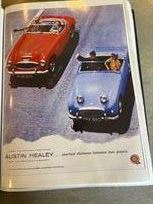 austin-healey-1006-ex-works-racecar