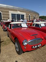 austin-healey-1006-ex-works-racecar