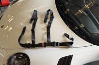 4-point-seat-belts