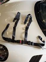 4-point-seat-belts