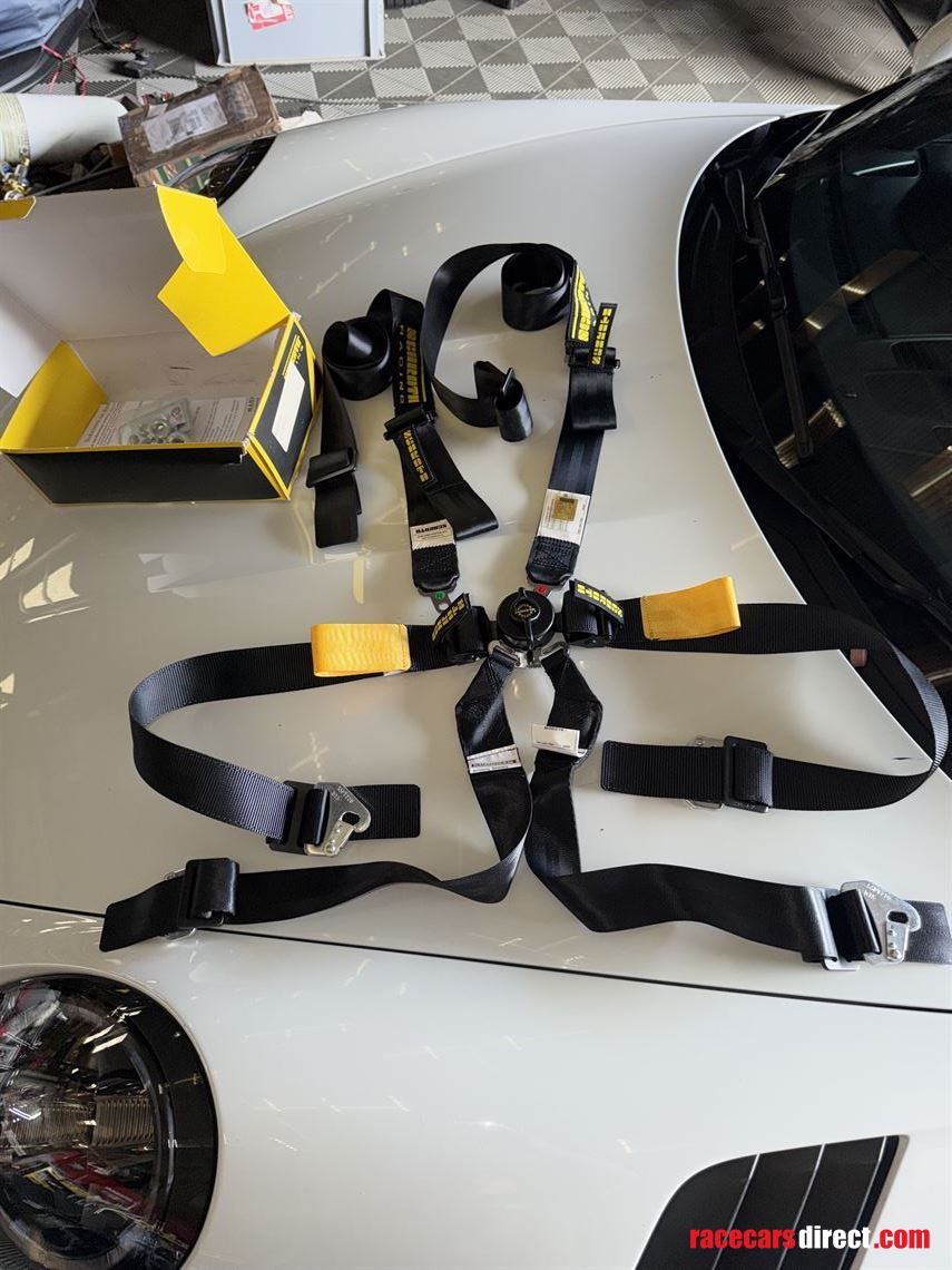 schroth-2-endurance-harness-set