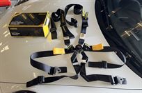 schroth-2-endurance-harness-set