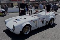 modsport-midget