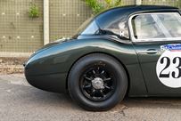 austin-healey-3000-fia-race-car