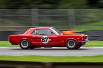 fia-mustang-for-sale